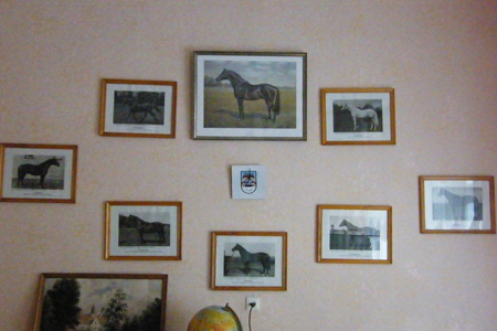 008 beruehmte Hengste von Trakehnen